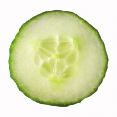 concombre.jpg