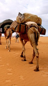 desert-garenne-colombes.jpg